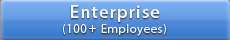 Enterprise Internet Marketing