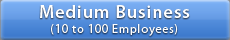 Medium Business