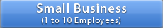 Small Business