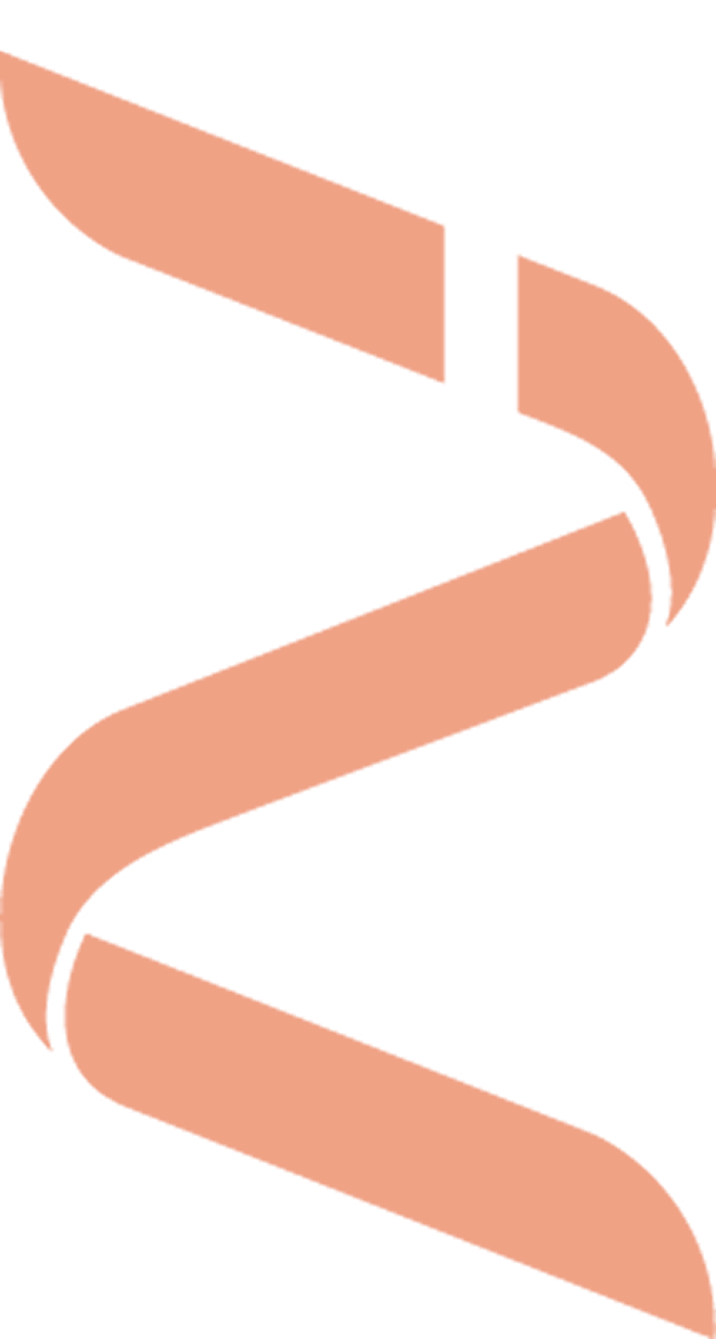 Ignite Logo