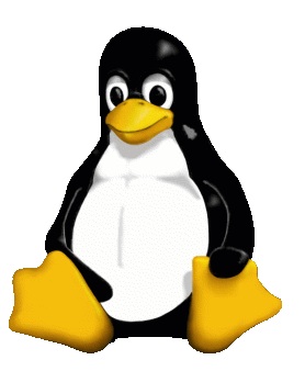 Google Penguin Webspam Update and SEO
