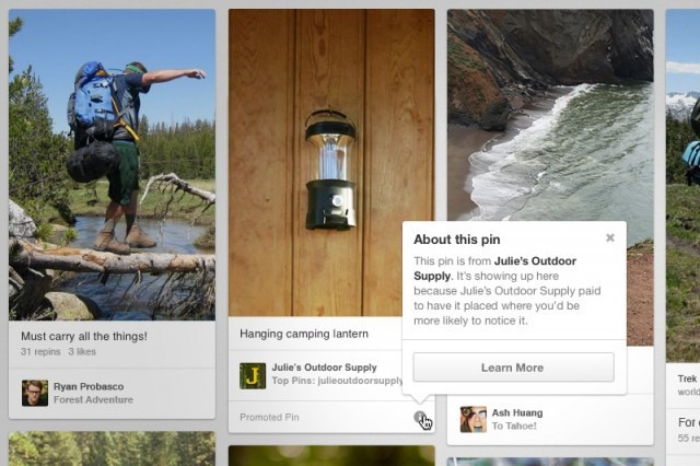 Pinterest Ads Go Live, Promoted Pins 