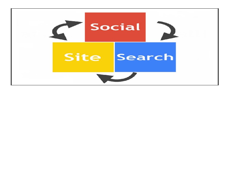seach and social data tool