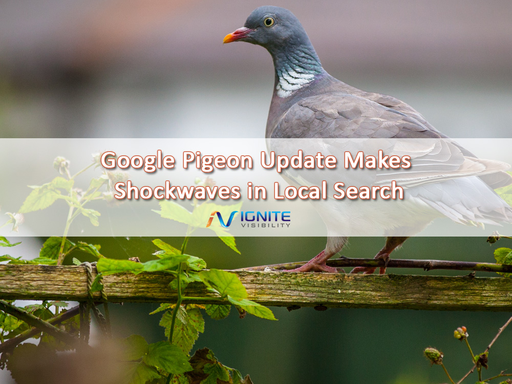 Google Pigeon Update Makes Shockwaves in Local Search