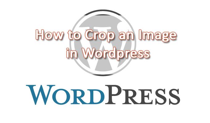 How to Crop an Image in WordPress