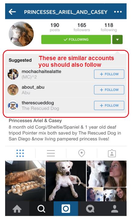 Similar Instagram Accounts to Follow