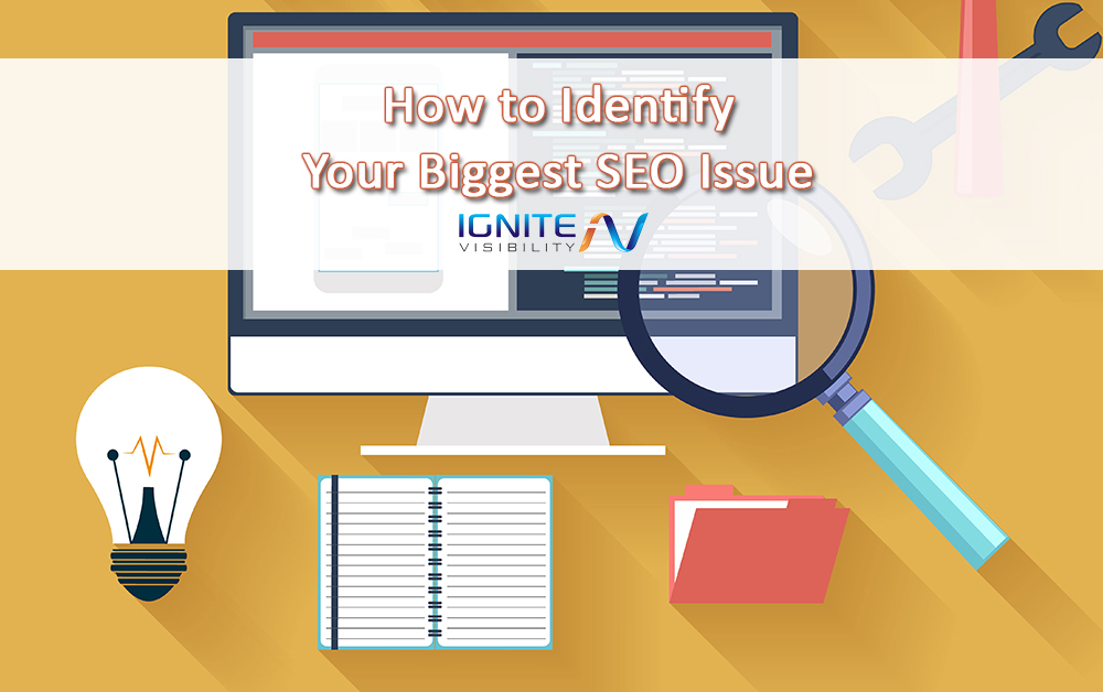 How to Identify Your Biggest SEO Issue