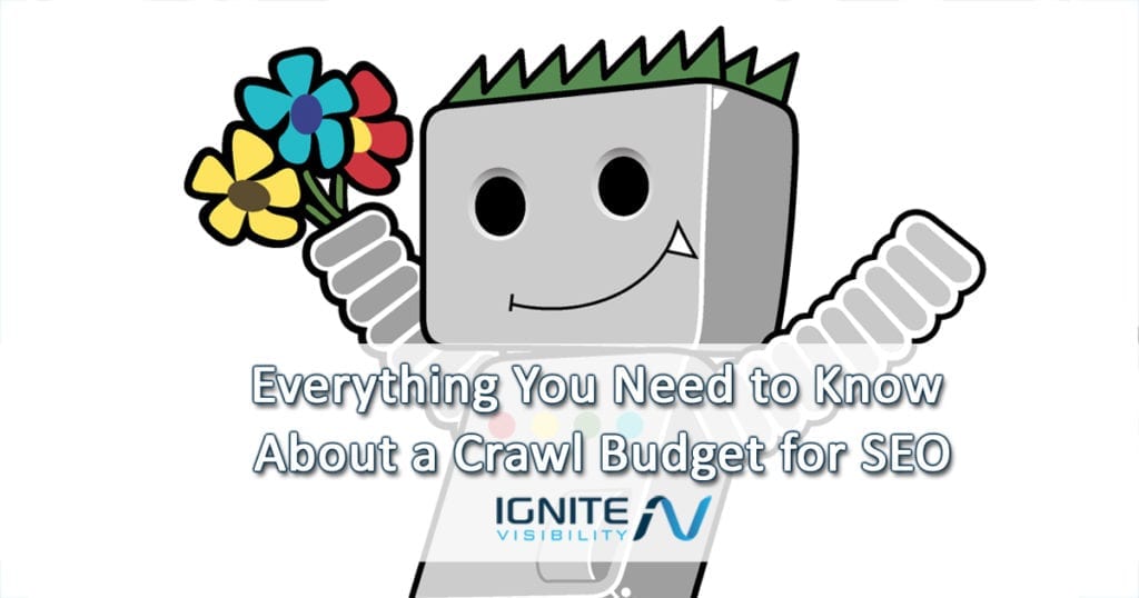 Everything You Need to Know About a Crawl Budget for SEO