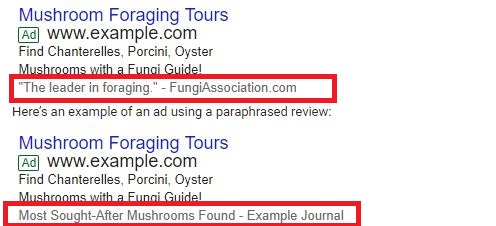 adwords review