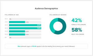 LinkedIn Advertising: Audience Demographics