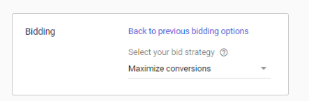 Google Ads bid strategy: maximize conversions