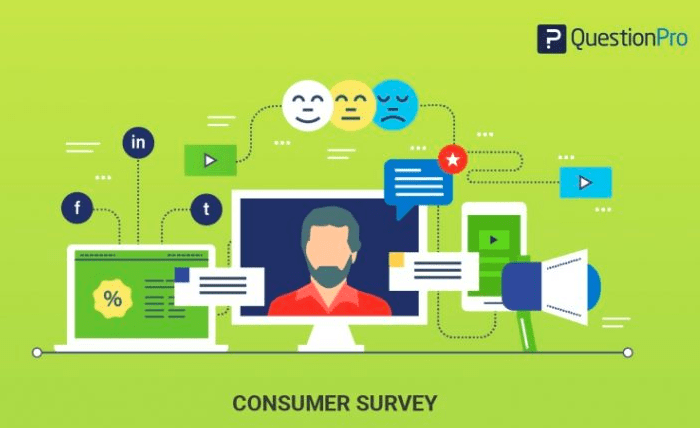 QuestionPro - How to use surveys for psychographics SEO
