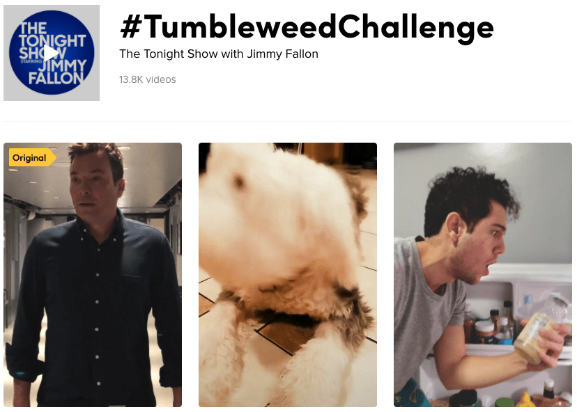 TikTok Tumbleweed challenge