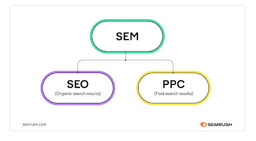 SEM includes both organic and paid search results