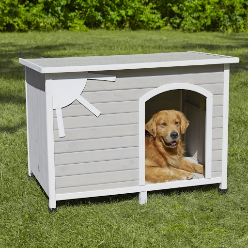 midwest_homes_for_pets_amazon_attribution_case_study