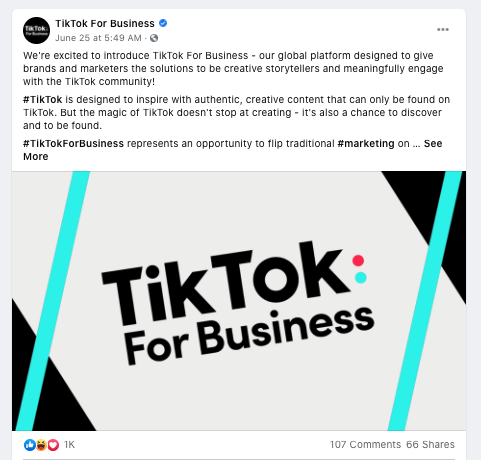 tiktok_for_business