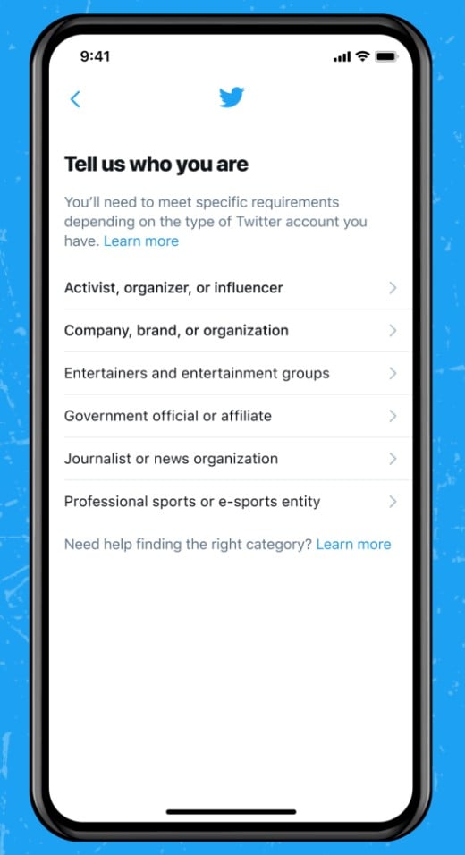 Twitter Verification Process
