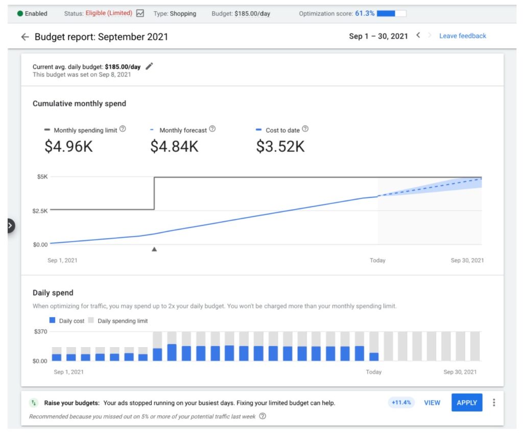 Google Ads Report: Monthly vs. Daily Spend