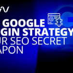 Google Plugin Strategy