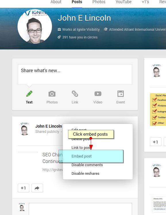 Google + Embed Posts
