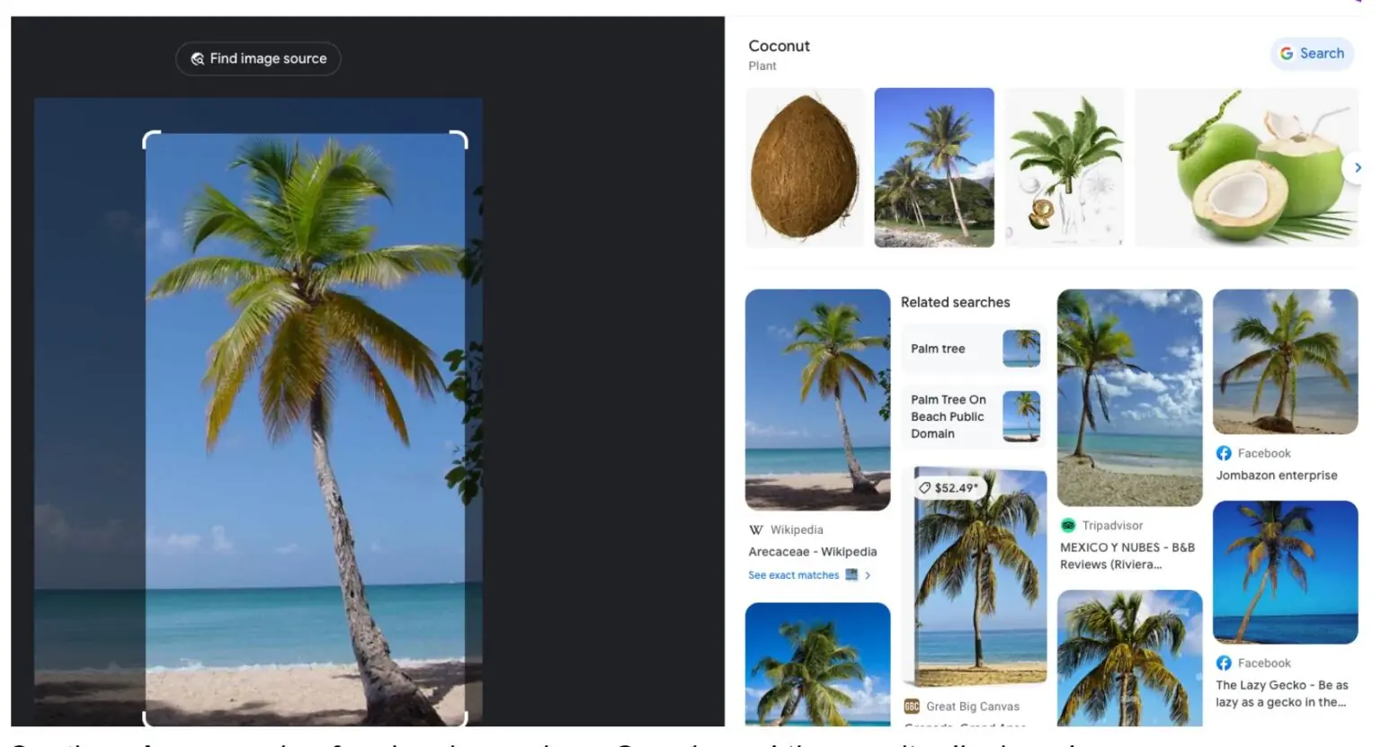 Guide to Visual Search: How To, Tools, Engines and Tips