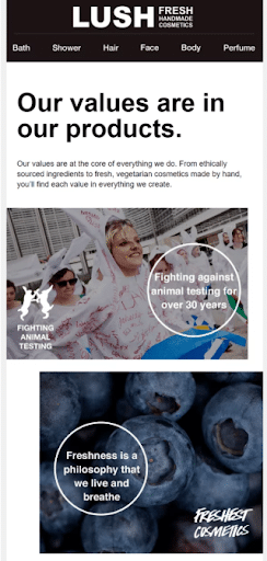 Welcome-email-design-giving-an-overview-of-brand-values