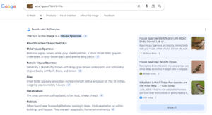 Optimizing for Google’s AI Overviews: A Marketer’s Guide
