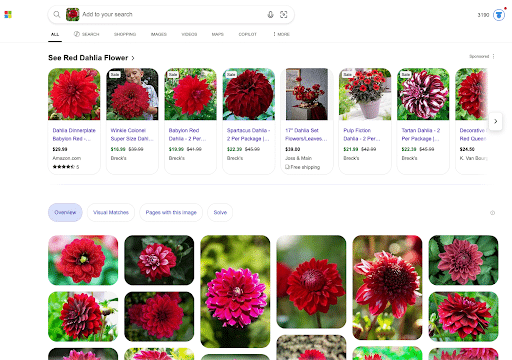Visual-search-for-SEO-on-Bing