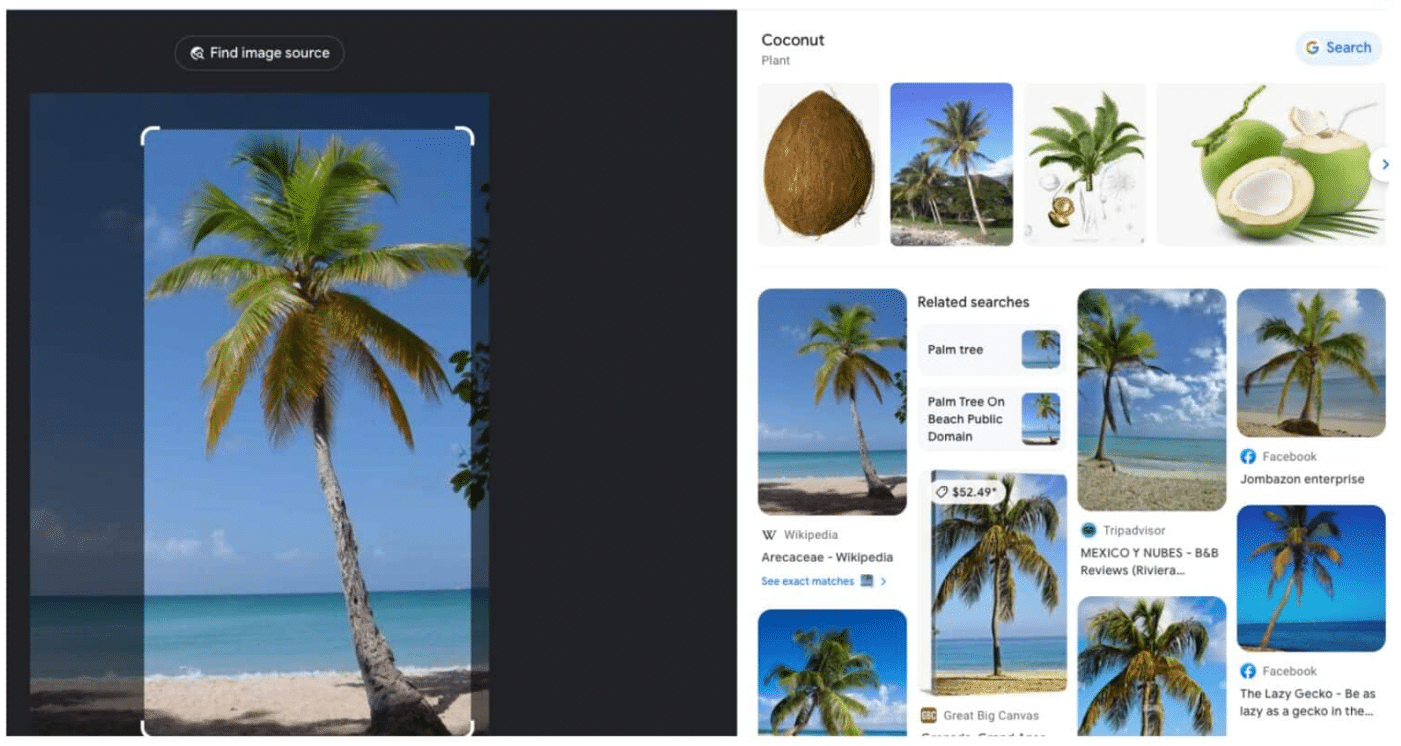 Visual-search-in-action