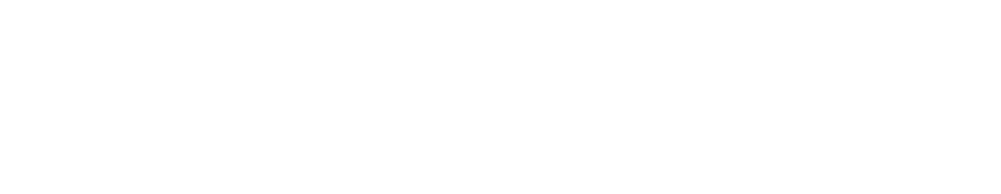 RevIntel Logo