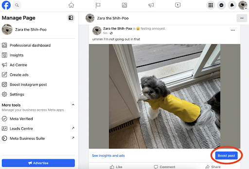 Facebook-makes-it-easy-to-boost-a-post-to-turn-it-into-an-ad
