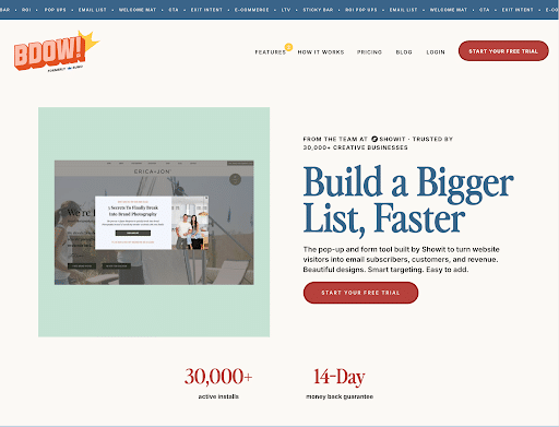 BDOW-homepage